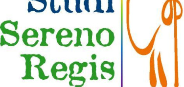 La copertura assicurativa negli spostamenti casa lavoro in bicicletta| Diretta streaming