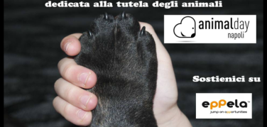 Animal Day Napoli: si raccolgono fondi online per la giornata di sensibilizzazione