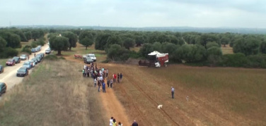 Ilva, terreno con diossina 