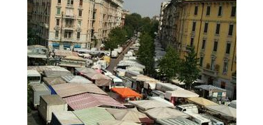 Mercato di Isola-Lagosta in viale Zara? Sì, ma senza tagliare 50 platani monumentali