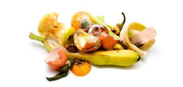 Seattle, multe a chi getta nella spazzatura oltre il 10% degli avanzi di cibo