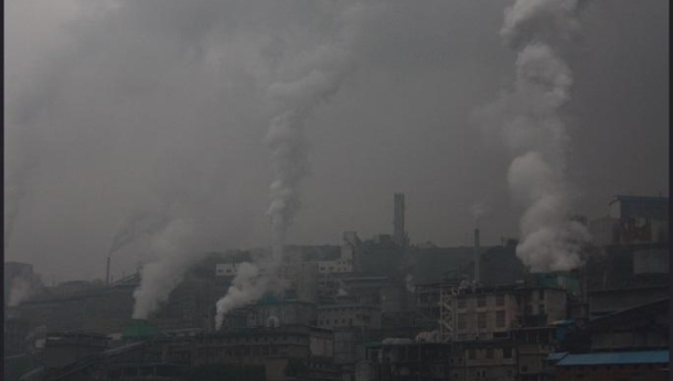 Immagine: British Medical Journal: 