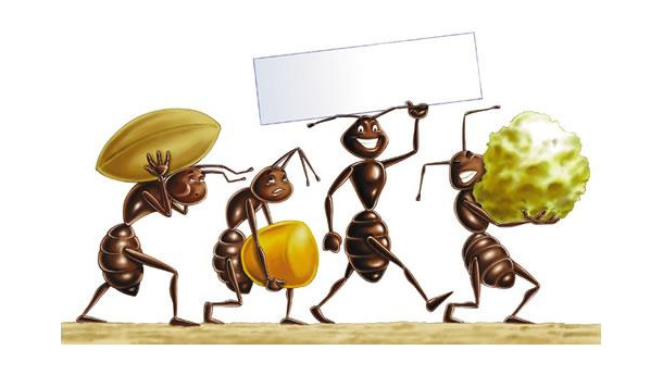 Immagine: Formichine Salvacibo, il premio di Eco dalle Città alla scuola più virtuosa contro lo spreco alimentare