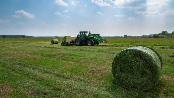Immagine: Forum Compostaggio, le novità su biometano, sfalci e potature