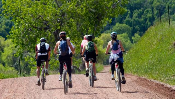 Immagine: Conferenza Regioni. Mobilità ciclistica. Ruolo di coordinamento nazionale alla Puglia