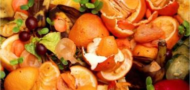 La Giornata Mondiale dell'Alimentazione e i dati sullo spreco di cibo