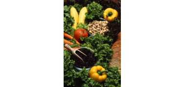 Spreco di cibo, le app per contrastarlo