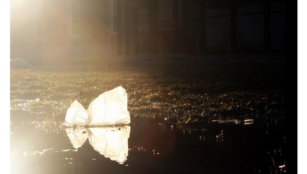 Immagine: Sacchetti al bando, ci riprova la Svizzera