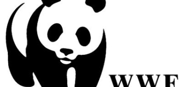 Cina-Usa sul clima, Wwf: 