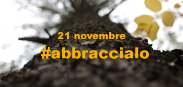Il 21 novembre abbraccia un albero