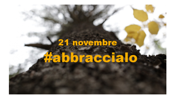 Immagine: Il 21 novembre abbraccia un albero