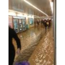 Immagine: Danni post Seveso, chiusa la M2 tra Centrale e Garibaldi per l'innalzamento della falda acquifera