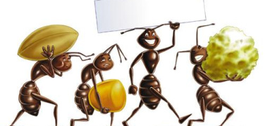 Formichine Salvacibo, da lunedì 17 le iniziative anti-spreco alimentare delle Scuole