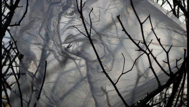 Immagine: Sacchetti, trovato l'accordo sulla direttiva tra gli Stati Membri