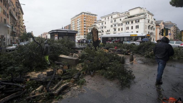 Immagine: Roma, l'Alberone torna in piazza per la festa Nazionale dell'Albero