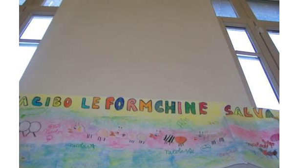 Immagine: Le Formichine Salvacibo di via Galvani/IMMAGINI