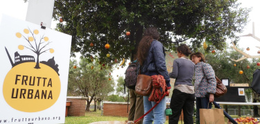 “È buona e gratis” così la frutta che cresce in città conquista la tavola