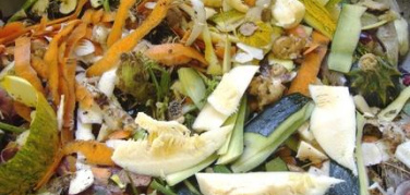 Serr, tra le azioni è la lotta allo spreco di cibo a farla da padrone