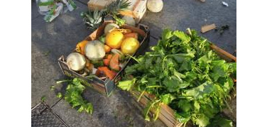 Lo spreco di cibo nei mercati, visto da Torino | Video