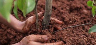 Lazio, un weekend alla riscoperta della natura urbana e suburbana tra parchi e laboratori