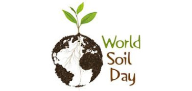 Il 5 dicembre è la Giornata Mondiale del Suolo. A Torino incontro con ospiti nazionali ed internazionali