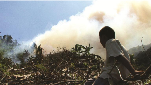 Immagine: Think Forward Film Festival, il 4 dicembre a Milano 5 cortometraggi in attesa della rassegna di Venezia