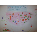 Immagine: La 3 B della 