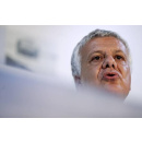Immagine: Galletti: 