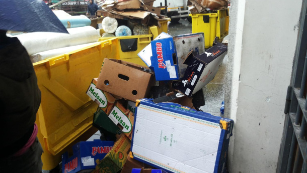 Immagine: Cartoniadi di Torino, tutti i video fatti durante la manifestazione