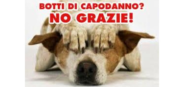 Botti di Capodanno, dopo Torino in crescita i comuni italiani che li vietano