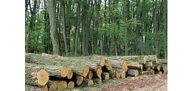 Torino, due guardie ecologiche aggredite nelle campagne di Villastellone