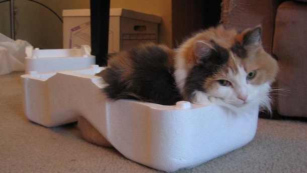 Immagine: New York, bandito il polistirolo per cibo e bevande