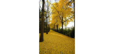 Ex Zoo di Torino, si procede verso la riqualificazione