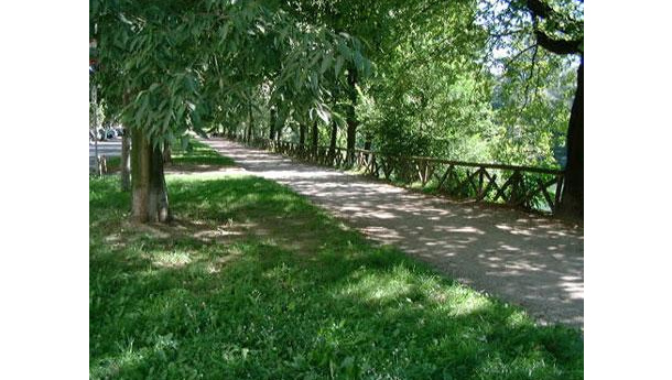 Immagine: Lungo Po Antonelli, prosegue la messa in sicurezza della sponda del fiume