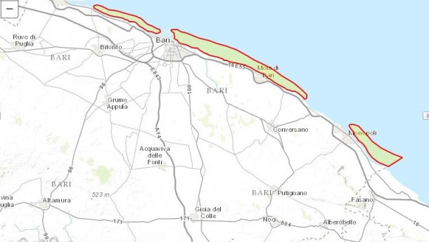 Immagine: Bari, rimozione straordinaria della pianta di posidonia spiaggiata lungo la costa | Foto