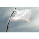 Immagine: Sacchetti, la prima sentenza sulle false plastiche bio dopo divieto di legge è una condanna