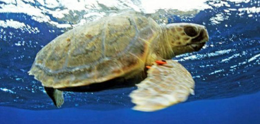 Bando da 4,5 mln al Sud per prevenzione rischi ambientali