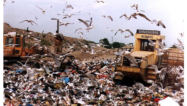 Immagine: Campania, stanziati più di nove milioni di euro per interventi su discariche comunali