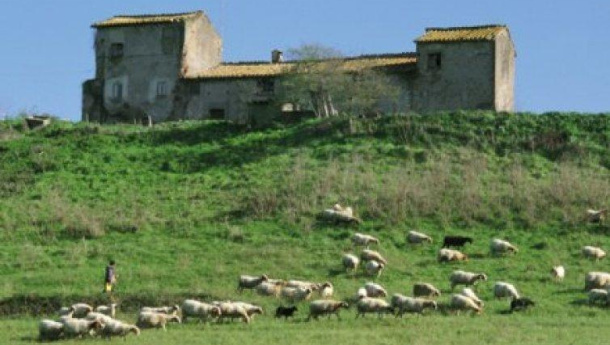 Immagine: Valle dei Casali: approvato dalla regione Lazio il piano d’assetto per salvaguardare l’area