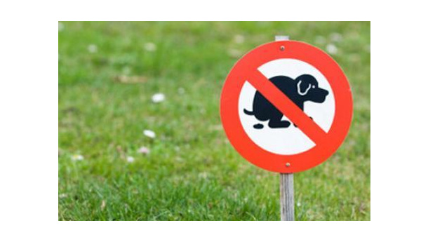 Immagine: Bari, aumenta a 300 euro la multa per la mancata raccolta delle deiezioni canine