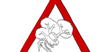 Il nuovo sito è in fase di rodaggio e ha ancora qualche piccolo difetto ...  A breve sarà tutto a posto. Confidiamo nella comprensione dei nostri lettori :-)