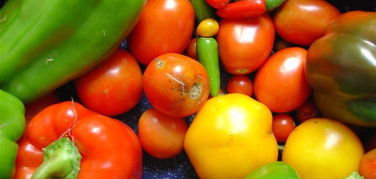 A Roma il 13 aprile incontro organizzato da Green Italia Verdi Europei 