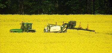 Europarlamento: nuove norme per limitare al 7% la quota di biocarburanti tradizionali