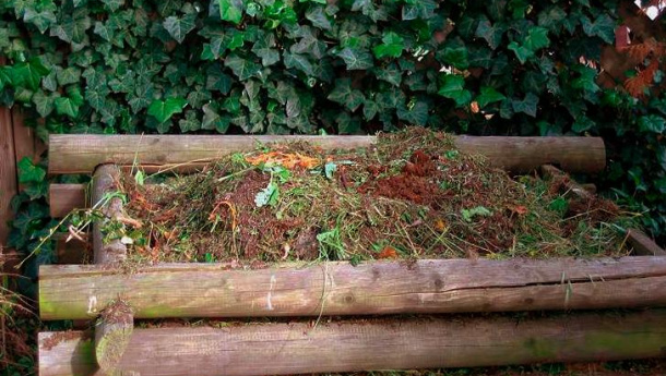 Immagine: Torino, arriva il compostaggio in collina? Ripassiamo come si fa | Video