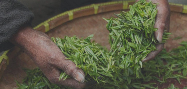 Expo 2015, ecco la Carta di Milano