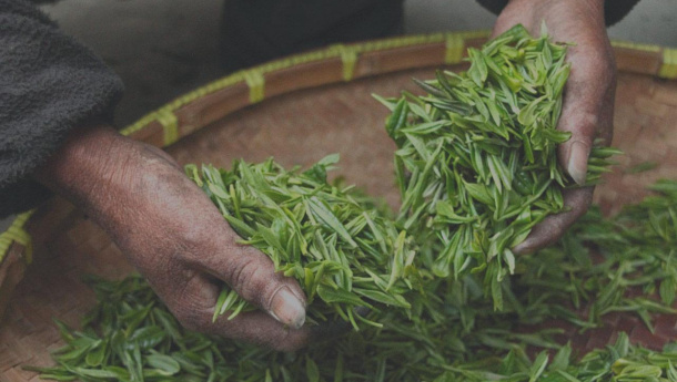 Immagine: Expo 2015, ecco la Carta di Milano