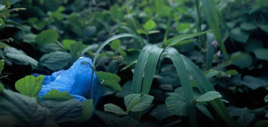 Bio4Expo, il negozio on line dove gli espositori possono acquistare prodotti in bioplastica