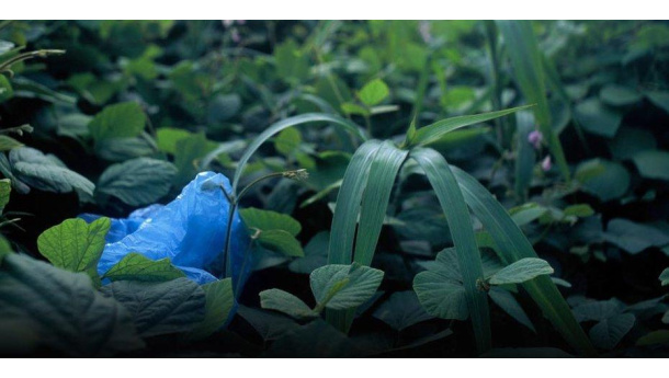 Immagine: Bio4Expo, il negozio on line dove gli espositori possono acquistare prodotti in bioplastica