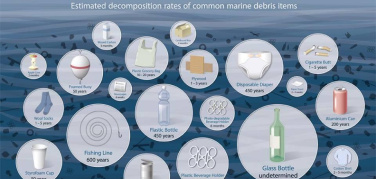 Bari, Mare senza Plastica. Gli esperti: 