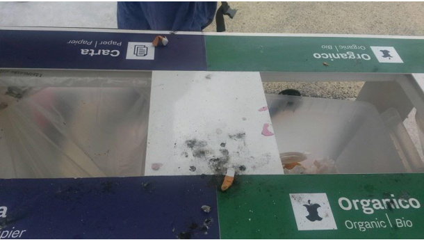 Immagine: Raccolta differenziata ad Expo: 